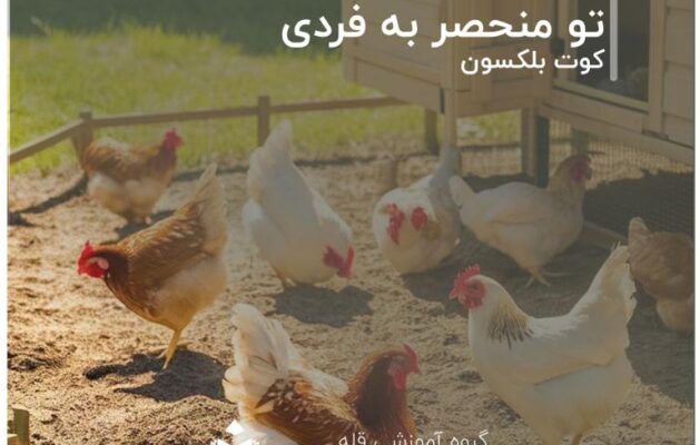 داستان واقعی و الهام‌بخش از کتاب «تو منحصر به فردی» نوشته‌ی کوت بلکسون