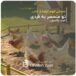 داستان واقعی و الهام‌بخش از کتاب «تو منحصر به فردی» نوشته‌ی کوت بلکسون