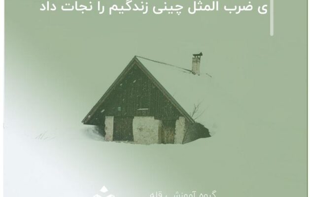 ی ضرب المثل چینی زندگیم را نجات داد