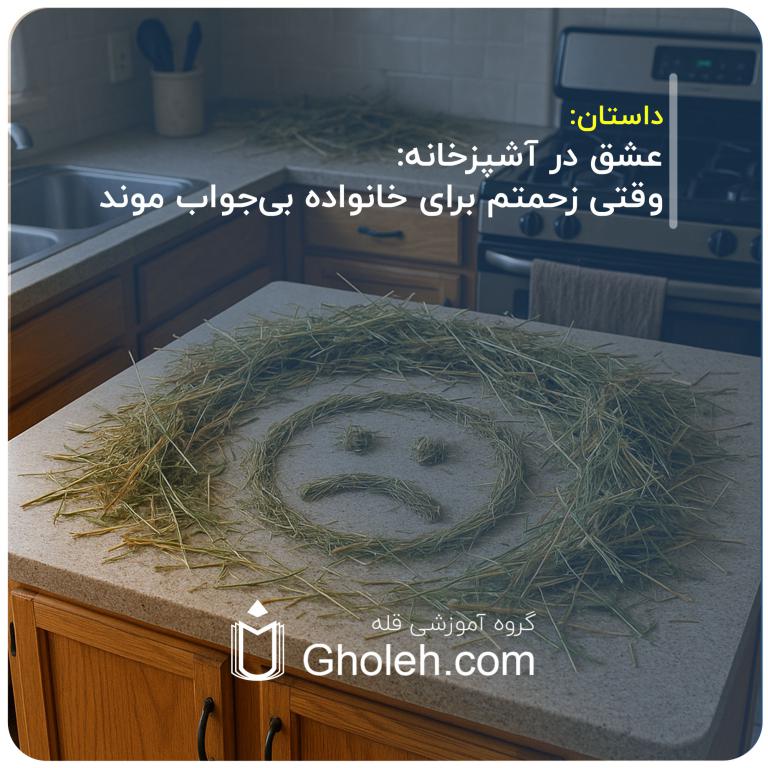 عشق-در-آشپزخانه--وقتی-زحمتم-برای-خانواده-بی‌جواب-موند